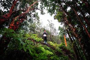 BIB: 
                            <button type="button" onclick="openModal(26202117)" class="btn btn-primary btn-sm float-right btn-popup" data-toggle="modal" data-target=".modal-high-quality">
                        <i class="fas fa-shopping-cart"></i> Add to Cart
                    </button>
                                            <button type="button" onclick="isThisMe(26202117, true)" class="btn btn-success btn-sm float-right btn-popup btn-isme hidden" data-toggle="tooltip" data-placement="bottom" title="นี่คือรูปของคุณใช่ไหม คลิกที่นี่เพื่อเอาเข้าอัลบั้ม">
                        <i class="fas fa-plus"></i> Add to album
                    </button>
                    <button type="button" onclick="isThisMe(26202117, false)" class="btn btn-warning btn-sm float-right btn-popup btn-isnotme hidden">
                        <i class="fas fa-ban"></i> Remove from album
                    </button>